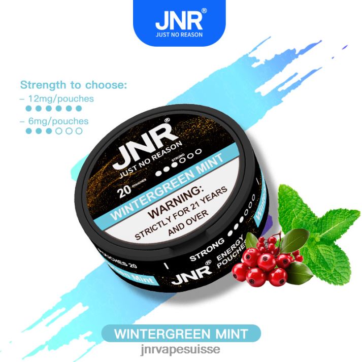 JNR Vape Nicotine | menthe gaulthérie pochettes énergétiques jnr 6JN84106
