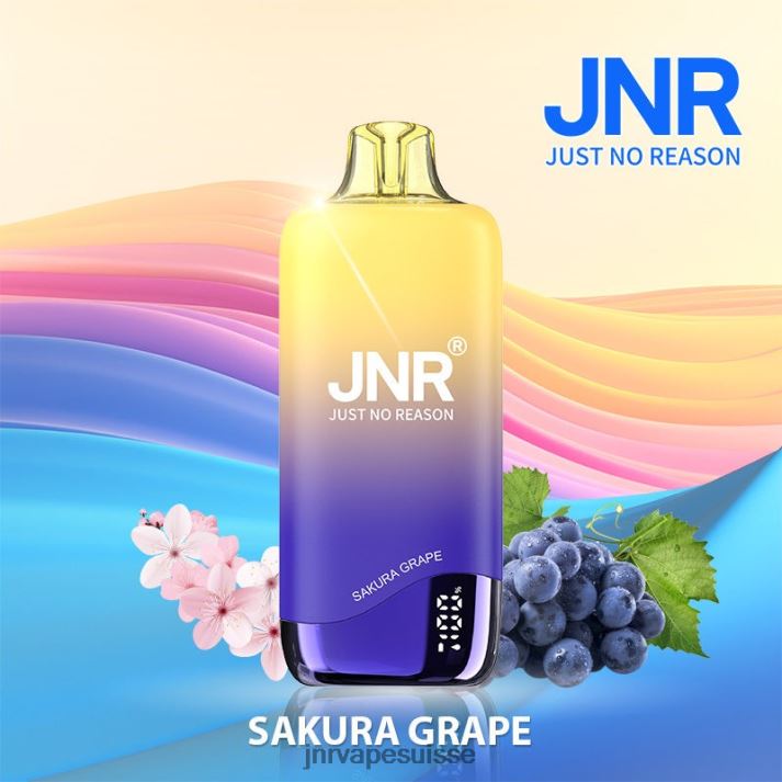 JNR Vape Prix | raisin sakura arc-en-ciel junior 6JN84264
