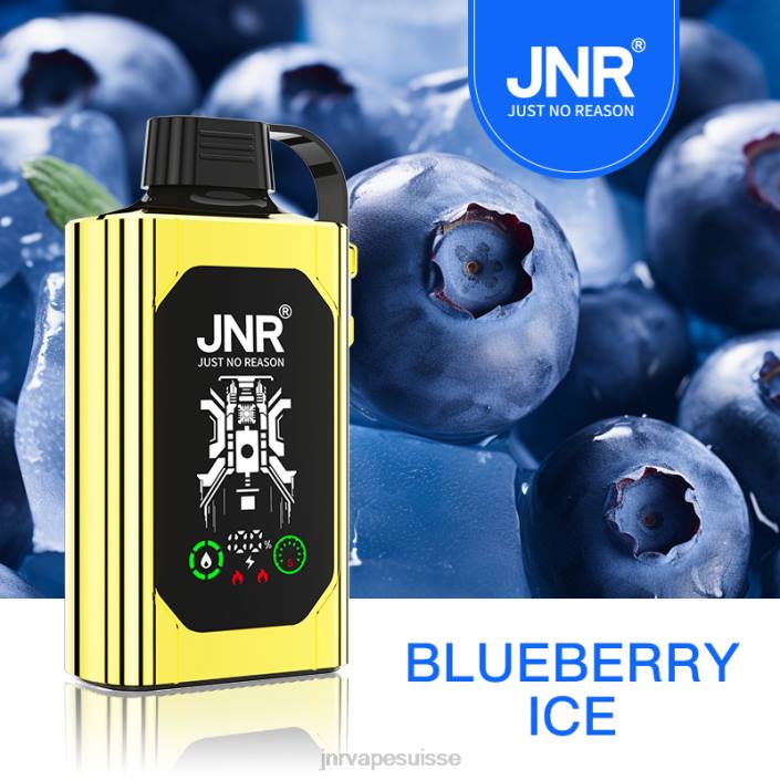 JNR SHISHA boîte | JNR Vape Nicotine glace aux myrtilles 06F675