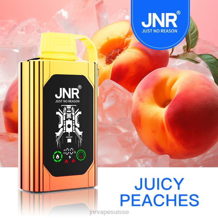 JNR SHISHA boîte | JNR Vape Review pêches juteuses 06F684