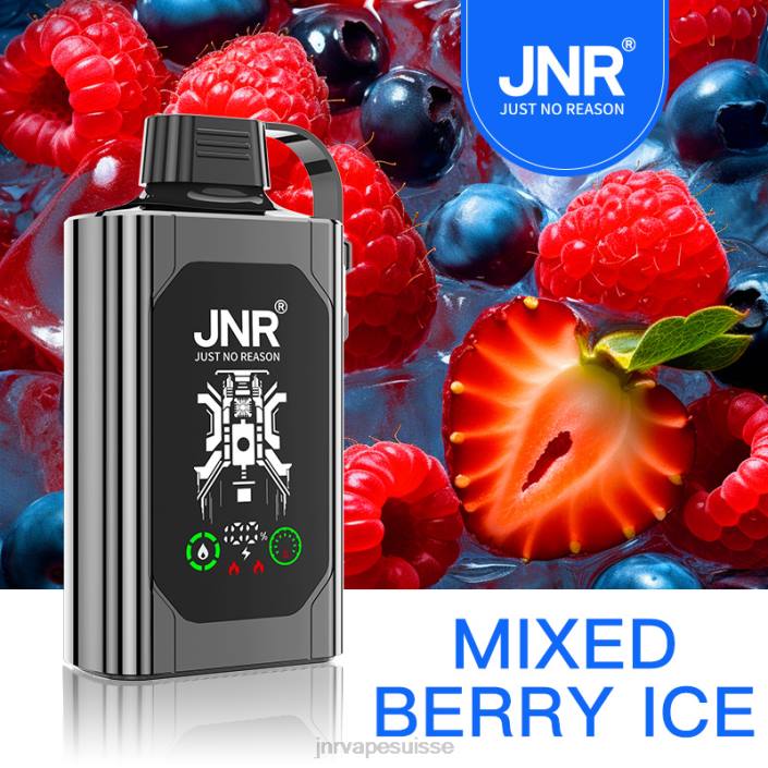 JNR SHISHA boîte | JNR Vapes Website glace aux fruits mélangés 06F678