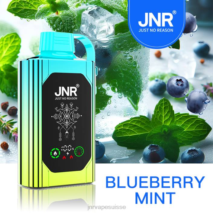 JNR SHISHA boîte | JNR Vapes Website menthe myrtille 06F688