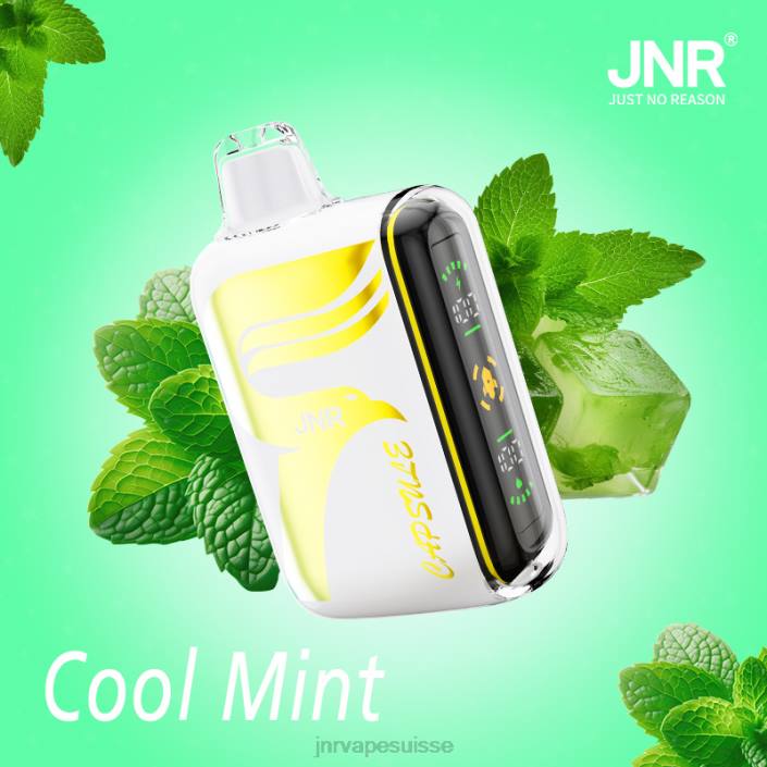 JNR capsule | JNR Vape Berne menthe fraîche 06F662