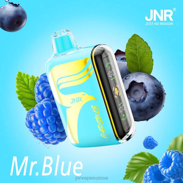 JNR capsule | JNR Vape Review monsieur bleu 06F664
