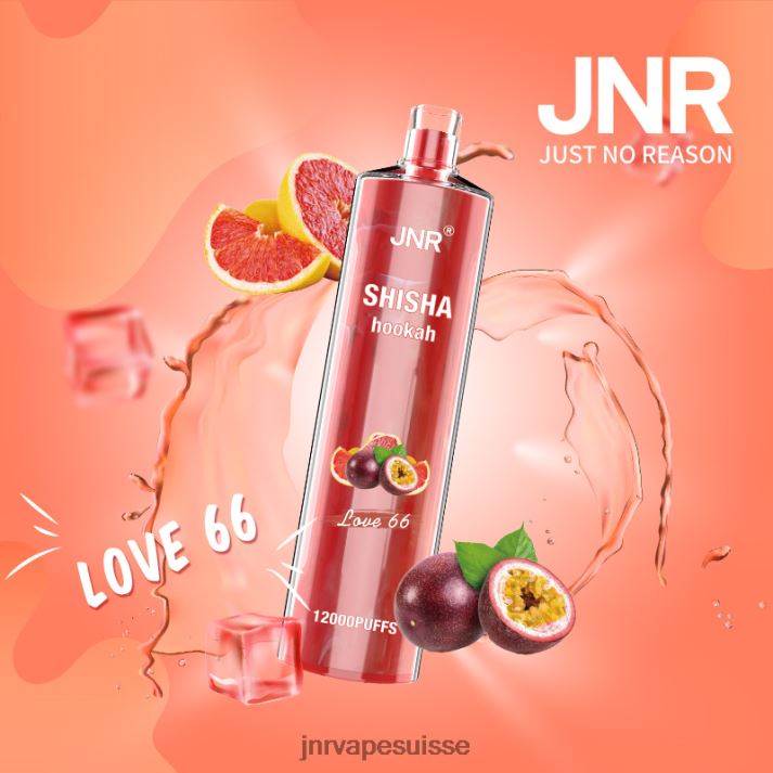 JNR Vape Flavours | amour 66 chicha junior 6JN84181