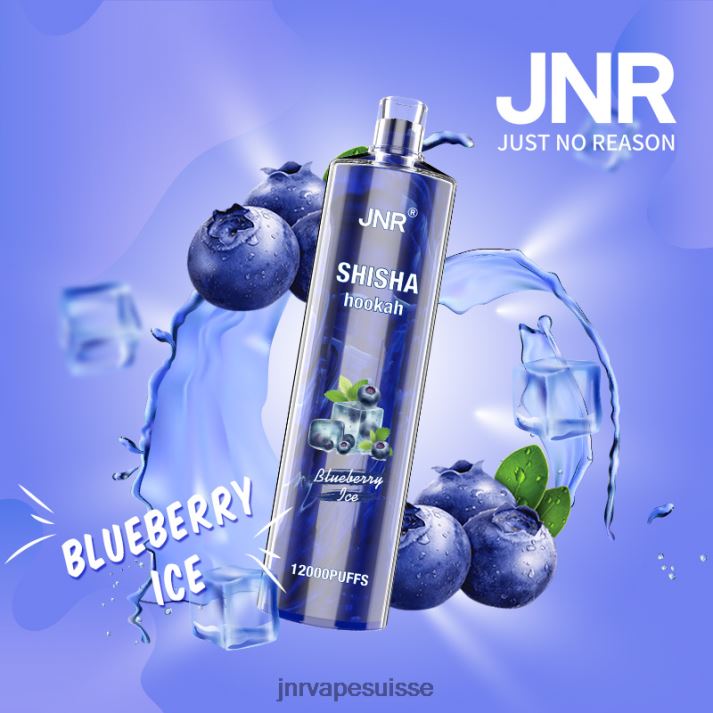JNR Vape Flavours | glace aux myrtilles chicha junior 6JN84161
