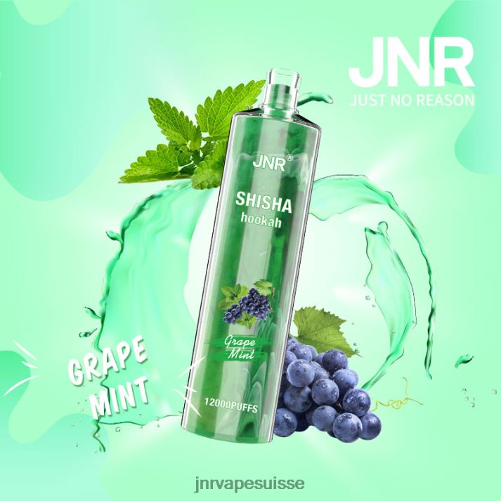 JNR Vape Flavours | menthe raisin chicha junior 6JN84171