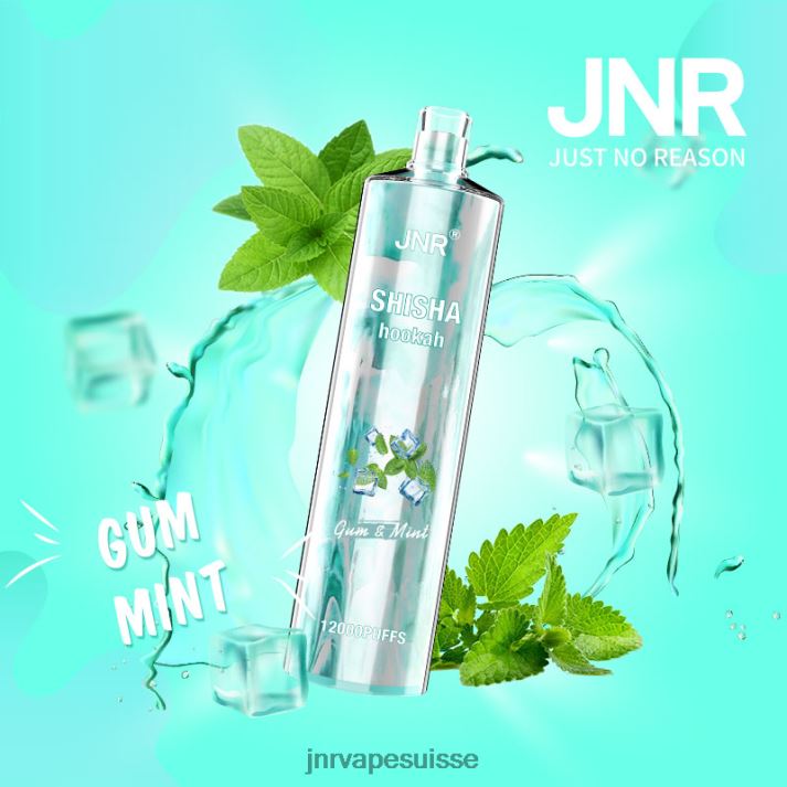 JNR Vape Prix | gomme et menthe chicha junior 6JN84164