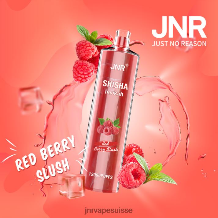 JNR Vape Shop | barbotine aux fruits rouges chicha junior 6JN84168