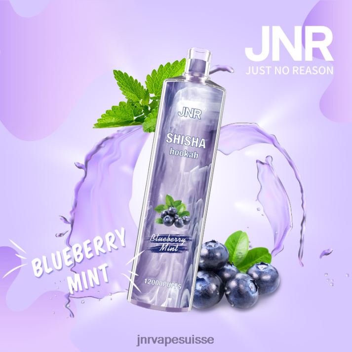 JNR Vape Suisse | menthe myrtille chicha junior 6JN84172