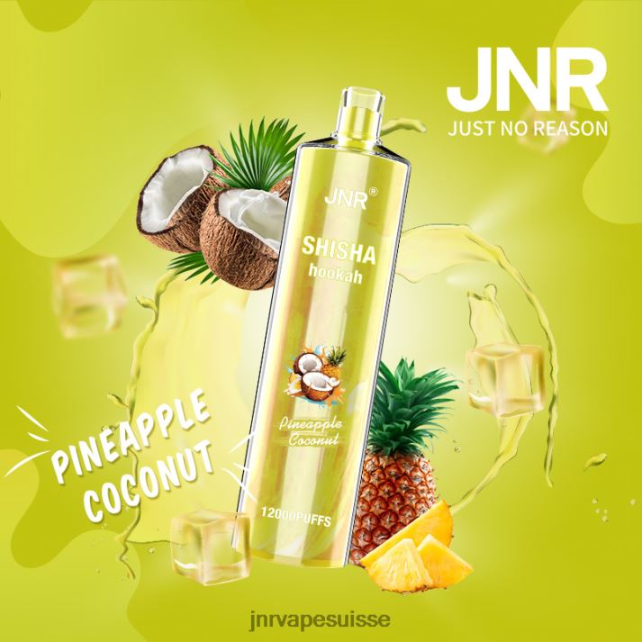 JNR Vapes Factory | ananas noix de coco chicha junior 6JN84167