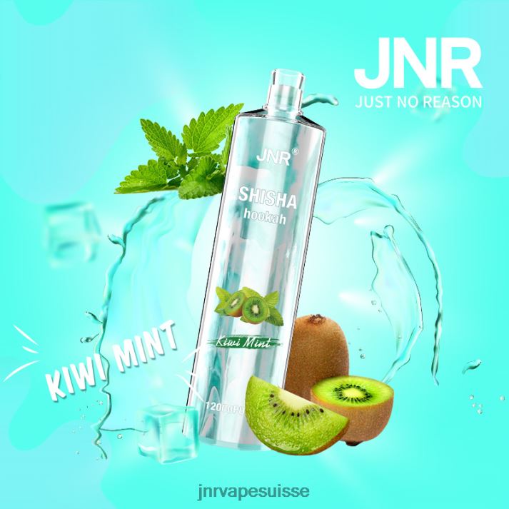 JNR Vapes Website | menthe kiwi chicha junior 6JN84169