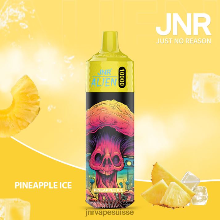 JNR Vapes Factory | glace à l'ananas extraterrestre junior 6JN84147