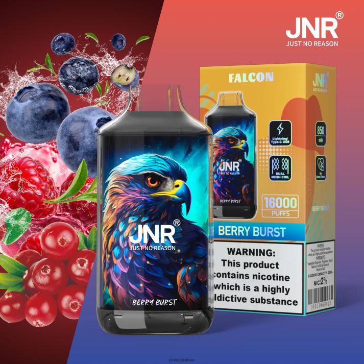 JNR Vape Berne | baie éclatée sans fruits faucon junior 6JN84213