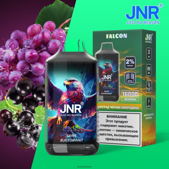 JNR Vape Flavours | raisin cassis faucon junior 6JN84211