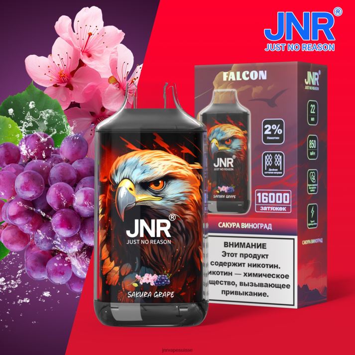 JNR Vape Review | raisin sakura faucon junior 6JN84205
