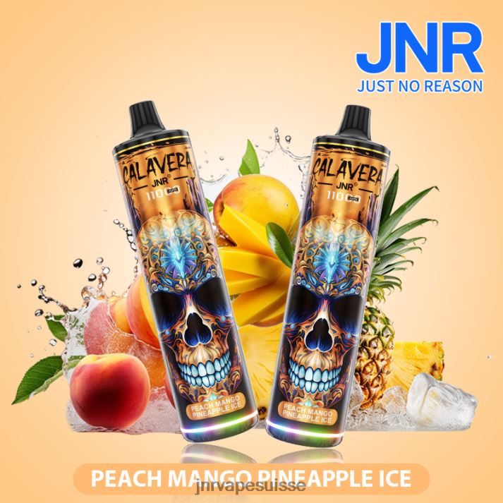 JNR Vape Flavours | glace pêche mangue ananas jnr calavera 6JN84301