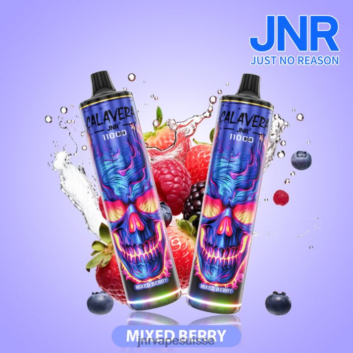 JNR Vape Pods | baies mélangées jnr calavera 6JN84310